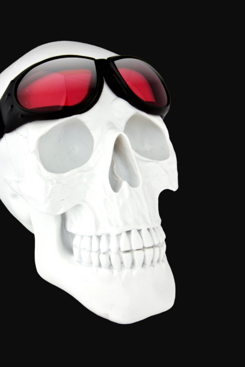 skull tortuga glasses